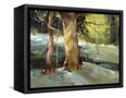 Canvas Black