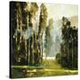 Stretched Canvas