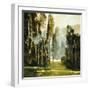 White Frame