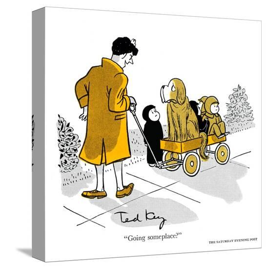 Stretched Canvas Print, , large