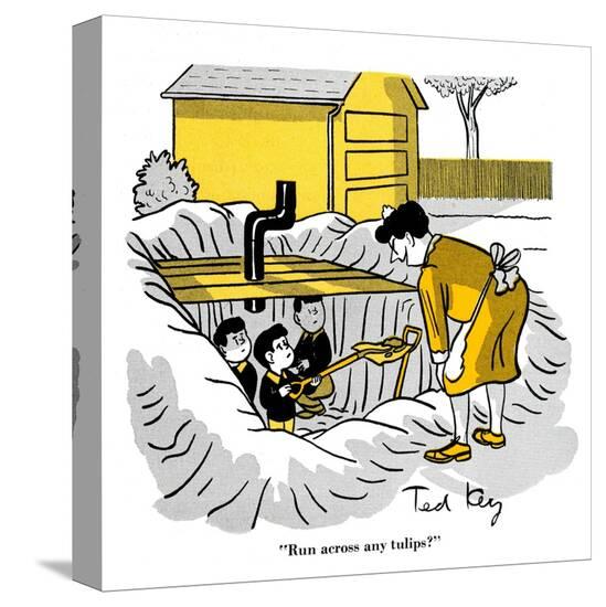 Stretched Canvas Print, , large
