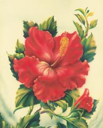 Hawaiian Flowers Posters Prints Paintings Wall Art Allposters Com