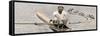 Ted Phelps, World Professional Sculling Champion, 1935-null-Framed Stretched Canvas