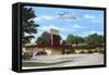 Ted's Drive-In, Roadside Retro-null-Framed Stretched Canvas