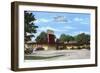 Ted's Drive-In, Roadside Retro-null-Framed Art Print