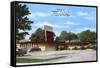 Ted's Drive-In, Roadside Retro-null-Framed Stretched Canvas