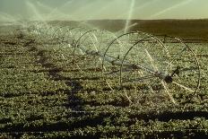 Farmer on a Tractor Spraying Insecticide on a Field before Planting in Palmer, Alaska, 1961 (Photo)-Ted Spiegel-Giclee Print