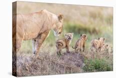 Let's Go Mom-Ted Taylor-Laminated Photographic Print