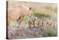 Let's Go Mom-Ted Taylor-Laminated Photographic Print