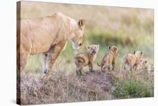 Let's Go Mom-Ted Taylor-Mounted Photographic Print