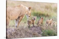 Let's Go Mom-Ted Taylor-Laminated Photographic Print