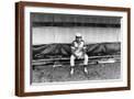 Brown Frame