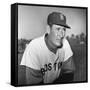 Ted Williams (1918-2002)-null-Framed Stretched Canvas