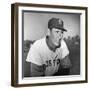 Ted Williams (1918-2002)-null-Framed Giclee Print