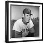 Ted Williams (1918-2002)-null-Framed Giclee Print