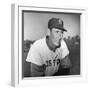 Ted Williams (1918-2002)-null-Framed Giclee Print