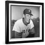 Ted Williams (1918-2002)-null-Framed Giclee Print