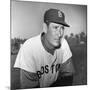 Ted Williams (1918-2002)-null-Mounted Giclee Print