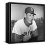 Ted Williams (1918-2002)-null-Framed Stretched Canvas