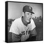 Ted Williams (1918-2002)-null-Framed Stretched Canvas