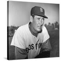 Ted Williams (1918-2002)-null-Stretched Canvas