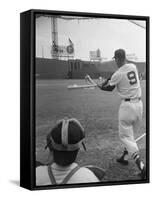 Ted Williams Batting at Fenway Park-Ralph Morse-Framed Stretched Canvas