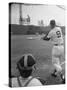 Ted Williams Batting at Fenway Park-Ralph Morse-Stretched Canvas
