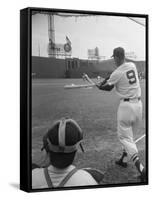 Ted Williams Batting at Fenway Park-Ralph Morse-Framed Stretched Canvas