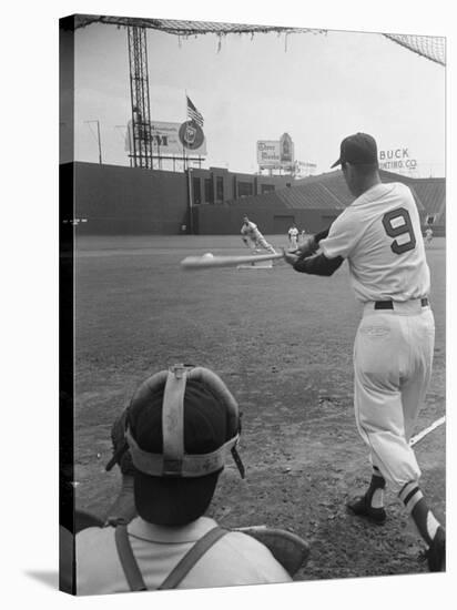 Ted Williams Batting at Fenway Park-Ralph Morse-Stretched Canvas