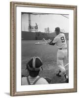 Ted Williams Batting at Fenway Park-Ralph Morse-Framed Premium Photographic Print