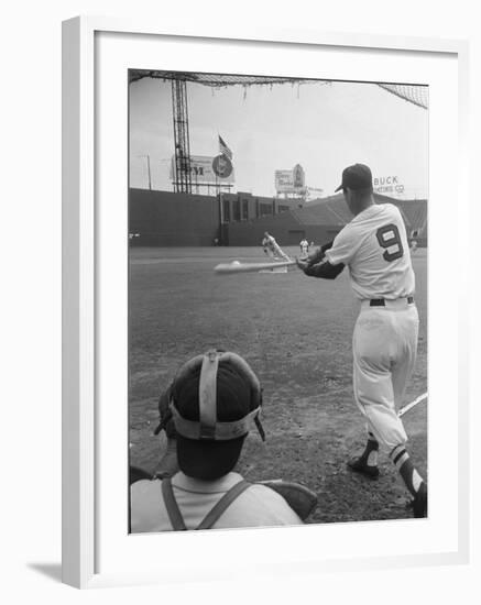 Ted Williams Batting at Fenway Park-Ralph Morse-Framed Premium Photographic Print