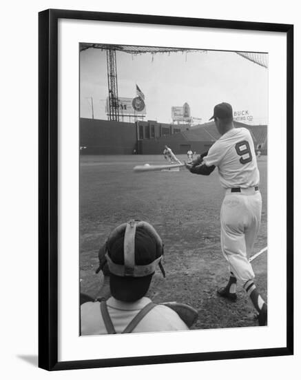 Ted Williams Batting at Fenway Park-Ralph Morse-Framed Premium Photographic Print