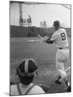 Ted Williams Batting at Fenway Park-Ralph Morse-Mounted Premium Photographic Print