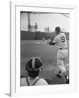 Ted Williams Batting at Fenway Park-Ralph Morse-Framed Premium Photographic Print