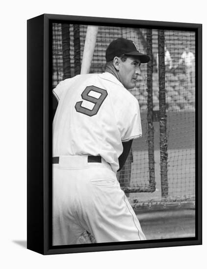 Ted Williams During Batting Practice-Ralph Morse-Framed Stretched Canvas