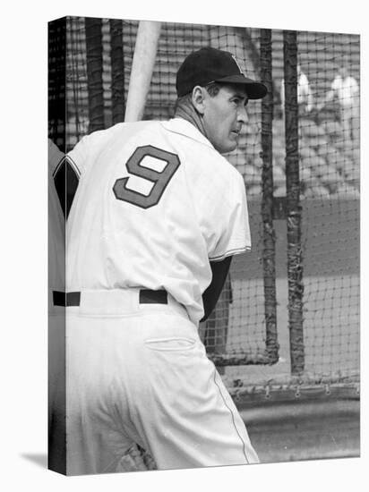 Ted Williams During Batting Practice-Ralph Morse-Stretched Canvas