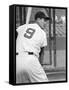 Ted Williams During Batting Practice-Ralph Morse-Framed Stretched Canvas