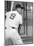 Ted Williams During Batting Practice-Ralph Morse-Mounted Premium Photographic Print
