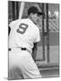 Ted Williams During Batting Practice-Ralph Morse-Mounted Premium Photographic Print