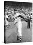 Ted Williams Throwing Baseball-Ralph Morse-Stretched Canvas