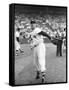 Ted Williams Throwing Baseball-Ralph Morse-Framed Stretched Canvas