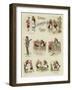 Teddie's Buffler Trap-null-Framed Giclee Print