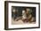 Teddy and Two Dolls-null-Framed Photographic Print