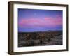 Teddy Bear Cholla Cactus, Anza-Borrego Desert State Park, California, USA-Adam Jones-Framed Premium Photographic Print