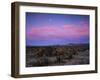 Teddy Bear Cholla Cactus, Anza-Borrego Desert State Park, California, USA-Adam Jones-Framed Photographic Print