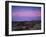 Teddy Bear Cholla Cactus, Anza-Borrego Desert State Park, California, USA-Adam Jones-Framed Photographic Print