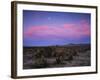 Teddy Bear Cholla Cactus, Anza-Borrego Desert State Park, California, USA-Adam Jones-Framed Photographic Print