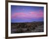 Teddy Bear Cholla Cactus, Anza-Borrego Desert State Park, California, USA-Adam Jones-Framed Photographic Print
