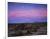 Teddy Bear Cholla Cactus, Anza-Borrego Desert State Park, California, USA-Adam Jones-Framed Photographic Print