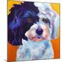 Teddy Bear Dog-Dawgart-Mounted Giclee Print